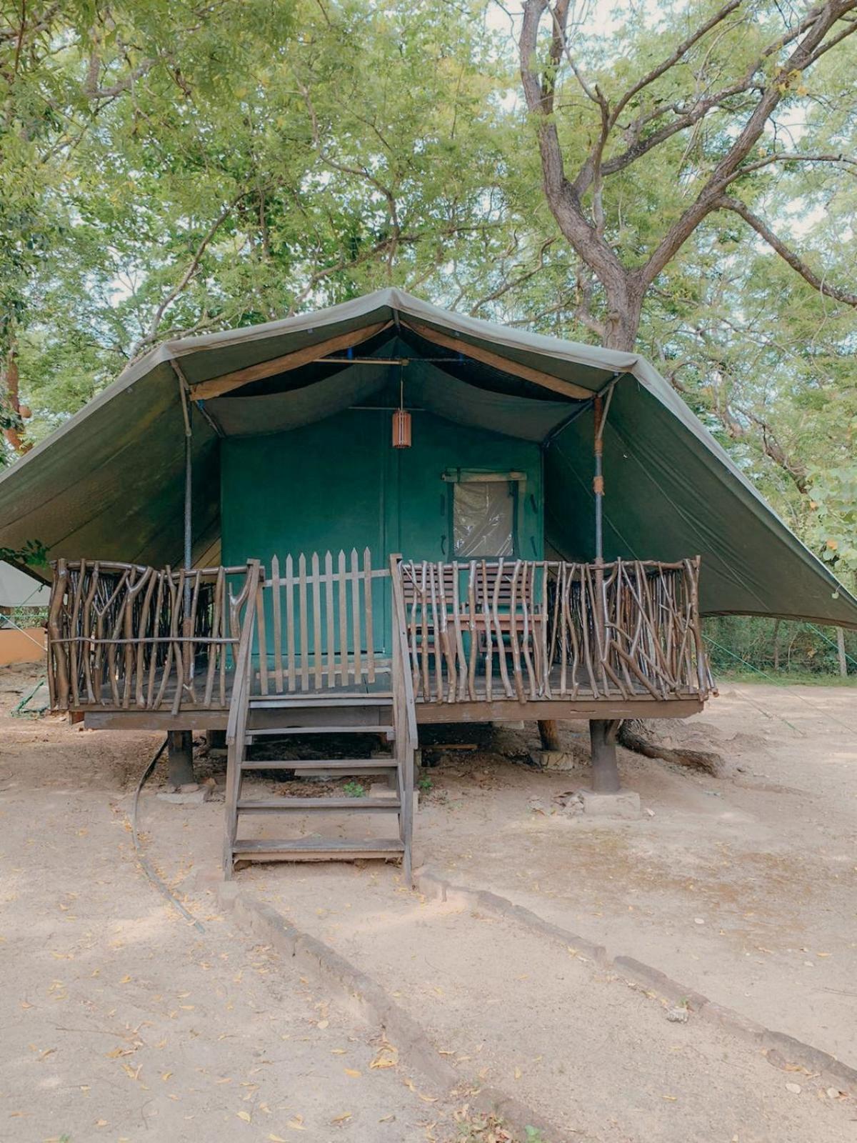 Camp Leopard - Yala Safari Glamping Hotel Bagian luar foto