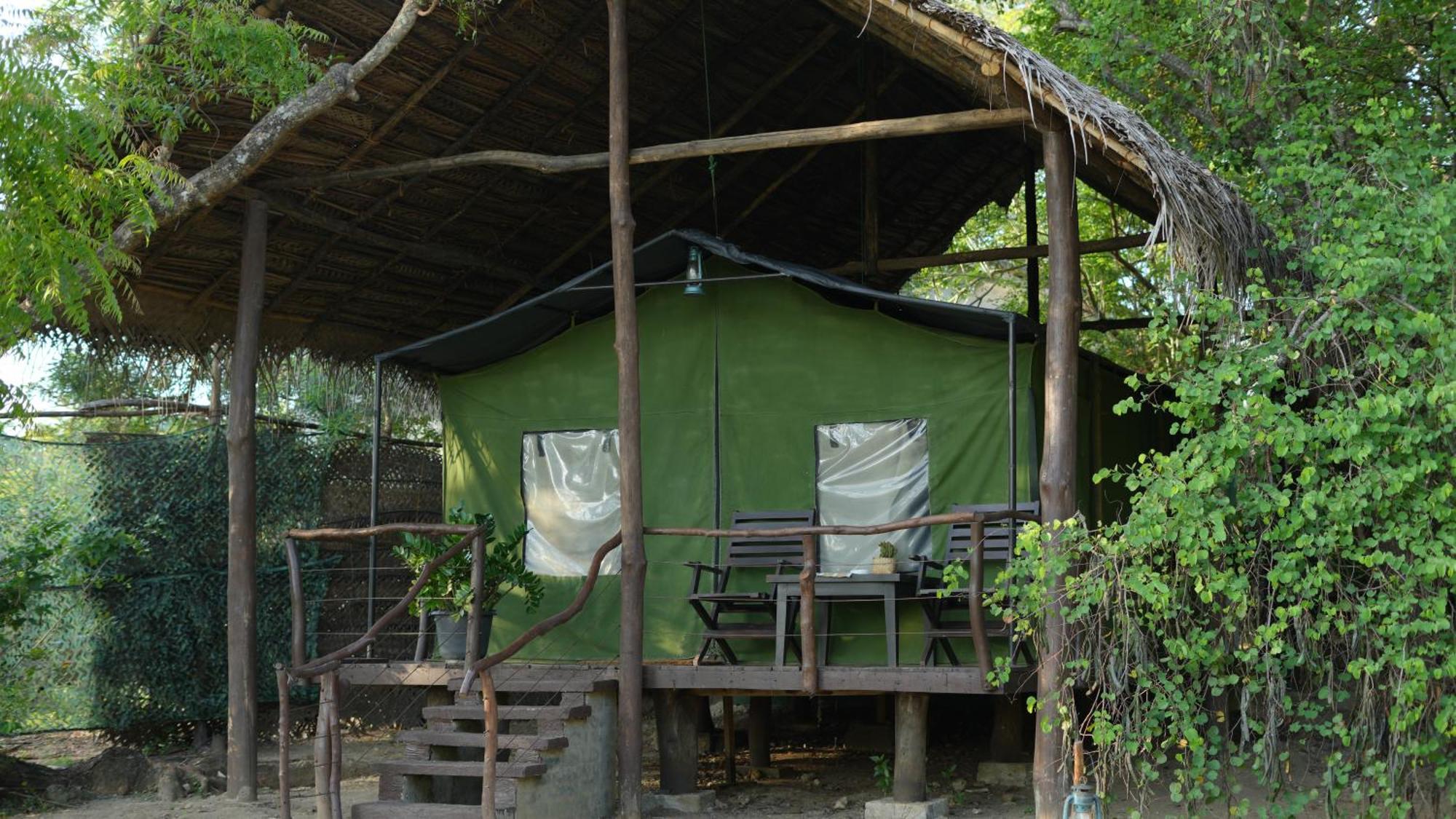Camp Leopard - Yala Safari Glamping Hotel Bagian luar foto