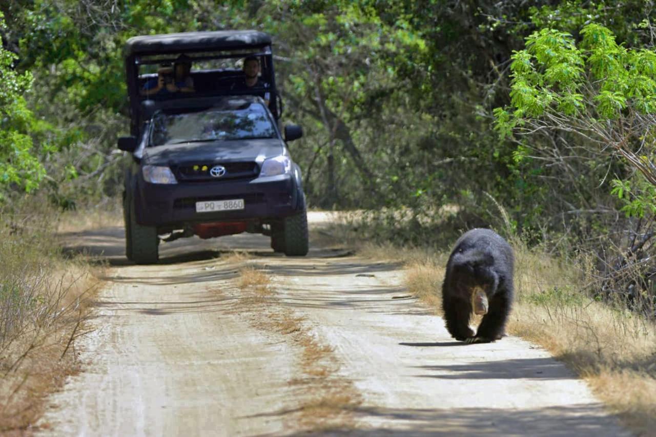 Camp Leopard - Yala Safari Glamping Hotel Bagian luar foto