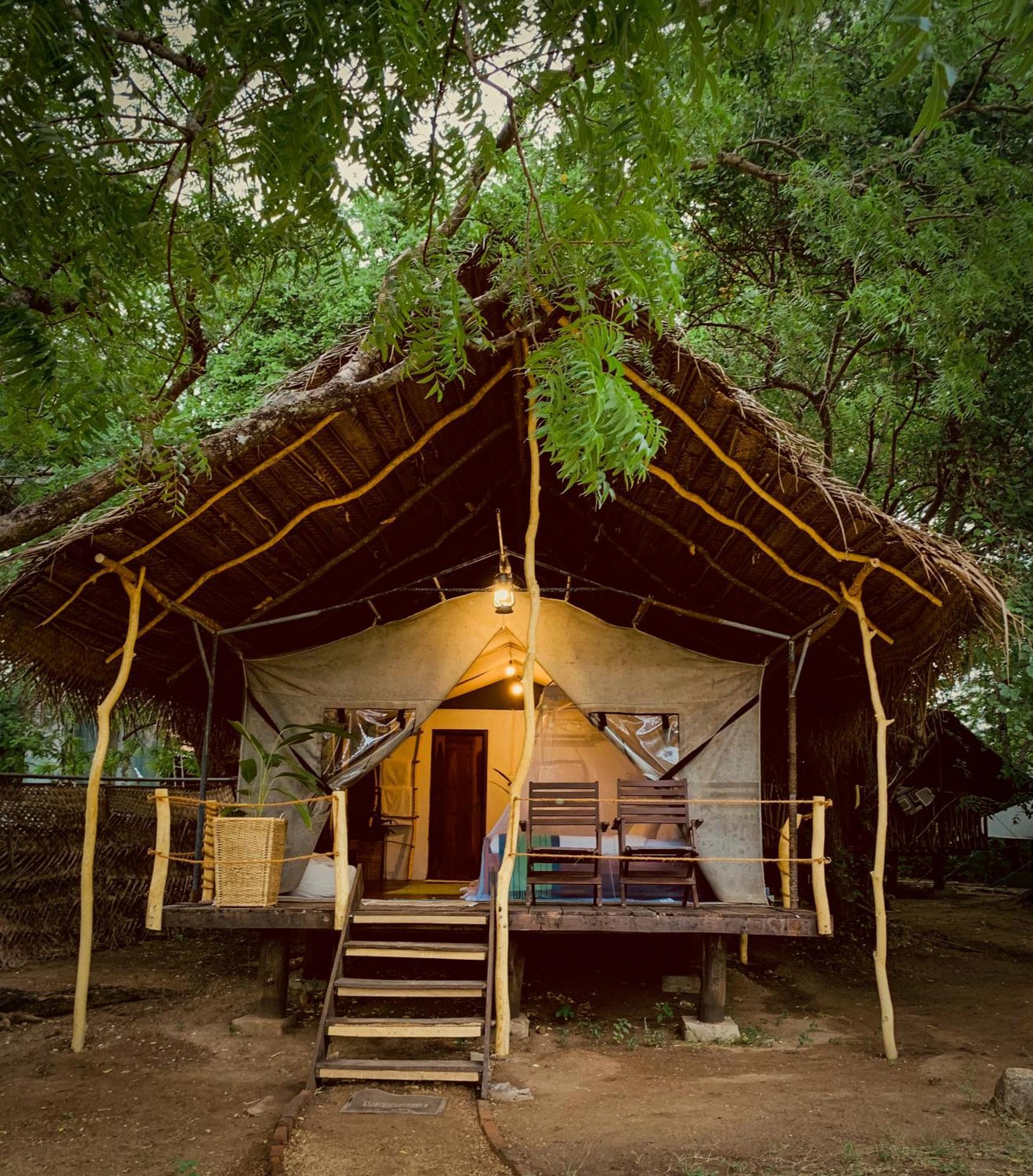 Camp Leopard - Yala Safari Glamping Hotel Bagian luar foto