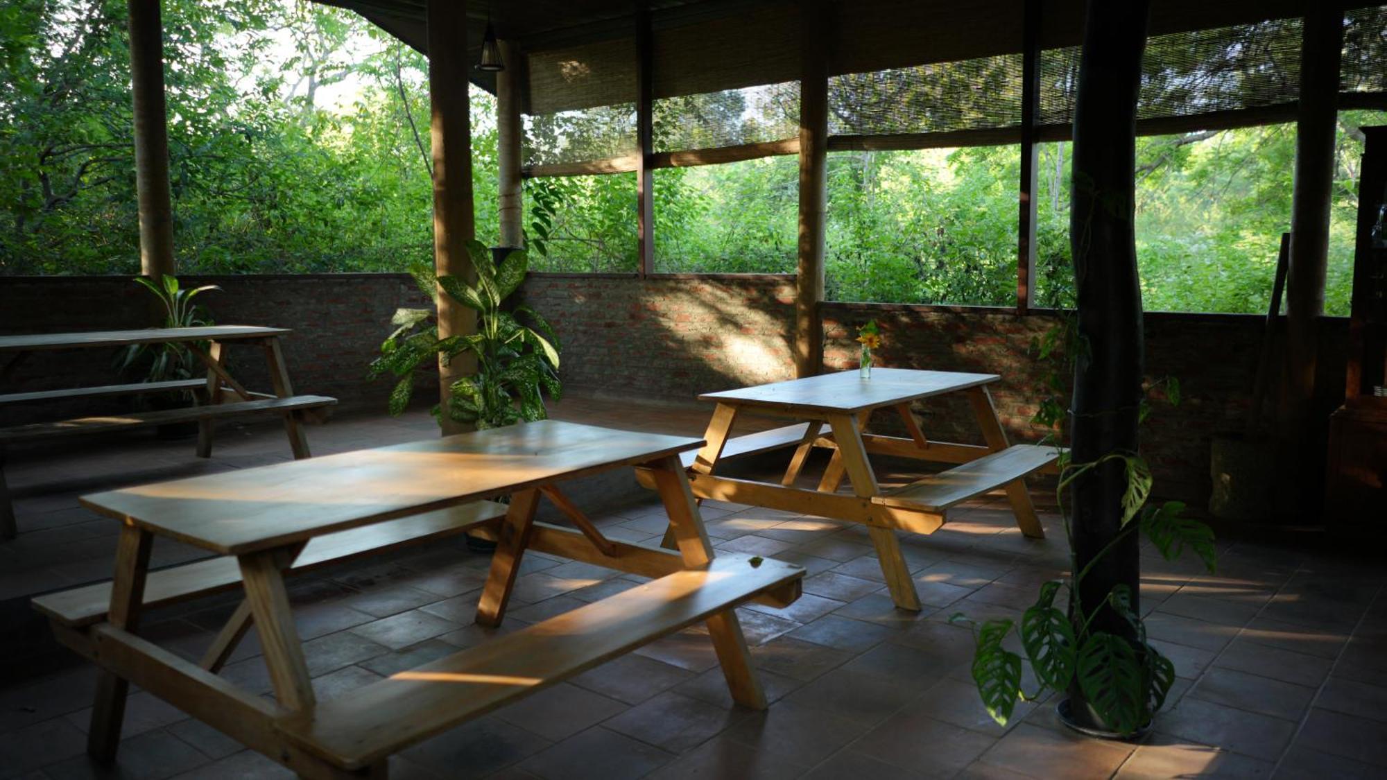 Camp Leopard - Yala Safari Glamping Hotel Bagian luar foto